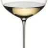 Riedel Superleggero Oaked Chardonnay Glass -Redel Cookware Shop 51NwES dVrL. AC SL1500