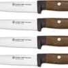Wusthof Urban Farmer - 4 Pc. Steak Knife Set -Redel Cookware Shop 71NV4490XML. AC SY300 SX300 QL70 FMwebp